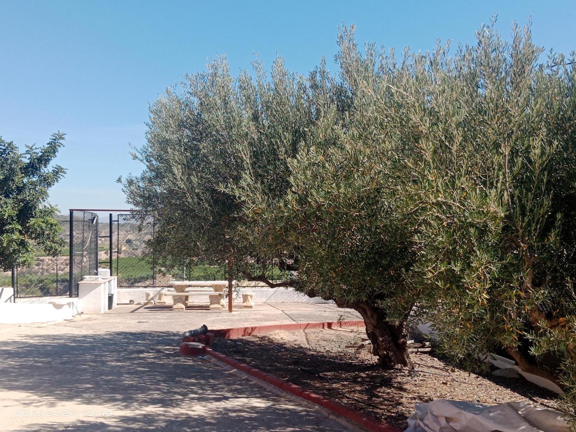 Casa Las Moscas Murcia Eksteriør billede